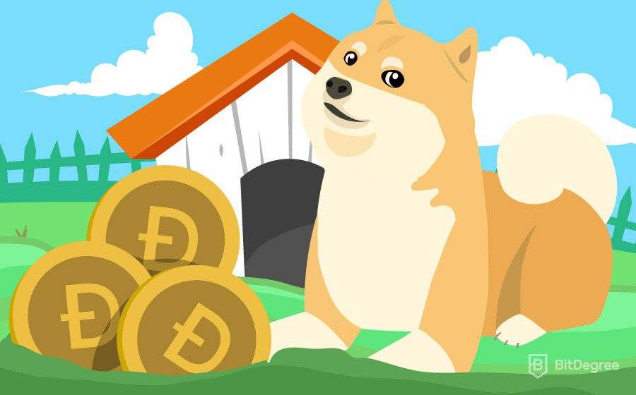 Як грамотно майнити Dogecoin: інструкції для новачків